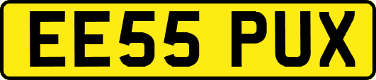 EE55PUX