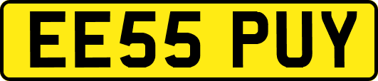 EE55PUY