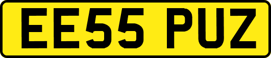 EE55PUZ
