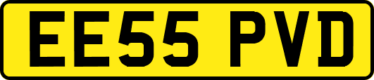 EE55PVD