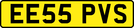 EE55PVS