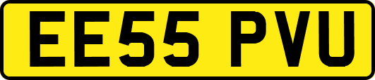 EE55PVU