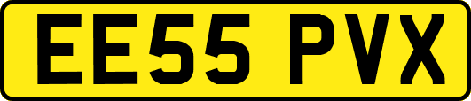 EE55PVX