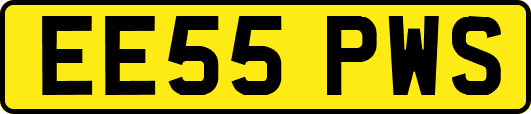EE55PWS