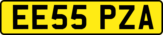 EE55PZA