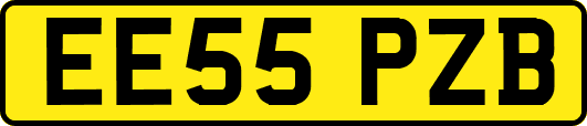 EE55PZB