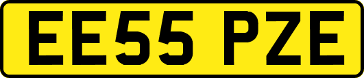 EE55PZE