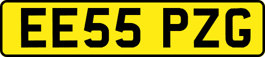 EE55PZG