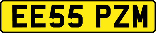 EE55PZM