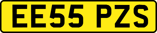 EE55PZS