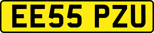 EE55PZU