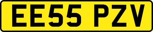 EE55PZV