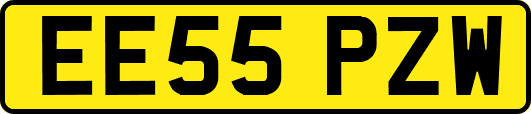 EE55PZW