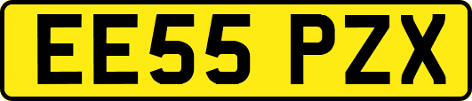 EE55PZX
