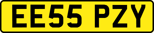 EE55PZY