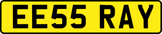 EE55RAY