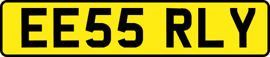 EE55RLY