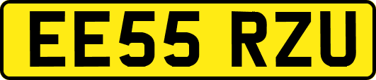 EE55RZU