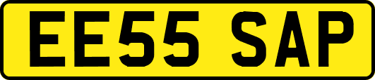 EE55SAP