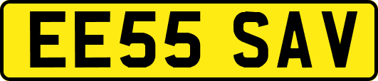 EE55SAV