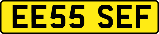 EE55SEF