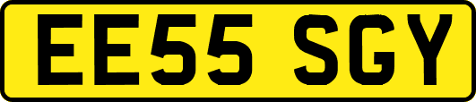 EE55SGY
