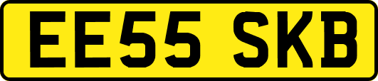 EE55SKB