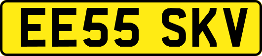 EE55SKV