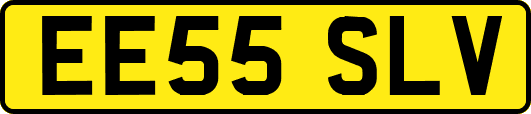EE55SLV