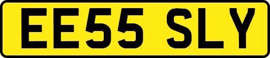 EE55SLY