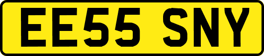 EE55SNY