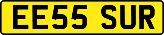 EE55SUR