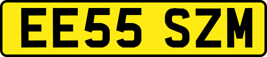 EE55SZM