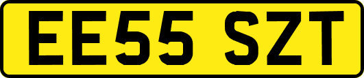 EE55SZT