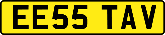 EE55TAV