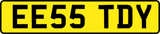 EE55TDY