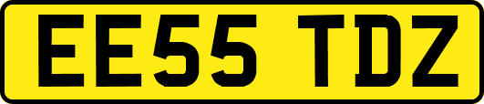 EE55TDZ