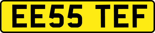 EE55TEF