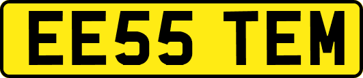 EE55TEM