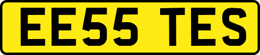 EE55TES