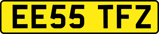 EE55TFZ