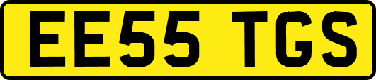 EE55TGS