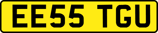 EE55TGU
