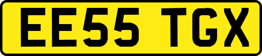 EE55TGX