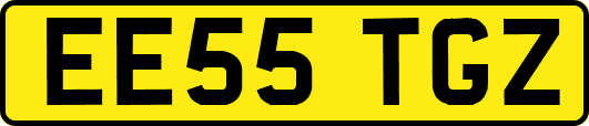 EE55TGZ