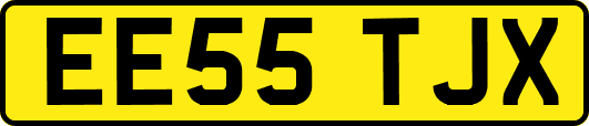 EE55TJX