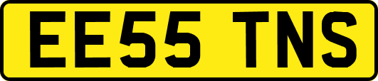 EE55TNS