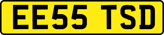 EE55TSD