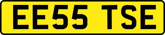 EE55TSE