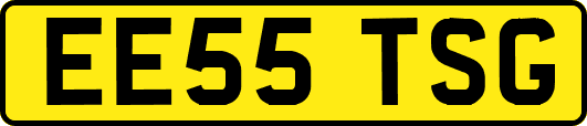 EE55TSG